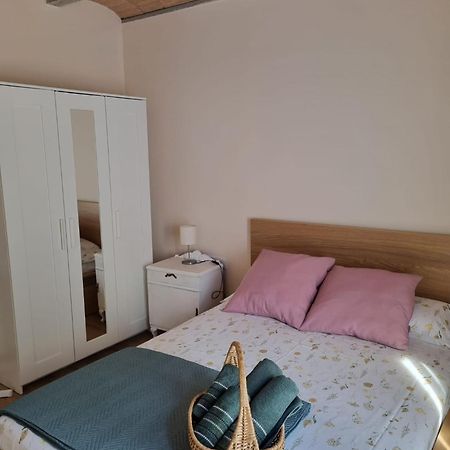 El Niu Dels Ocells Apartment Sant Joan de les Abadesses Bagian luar foto