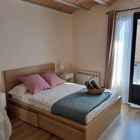 El Niu Dels Ocells Apartment Sant Joan de les Abadesses Bagian luar foto