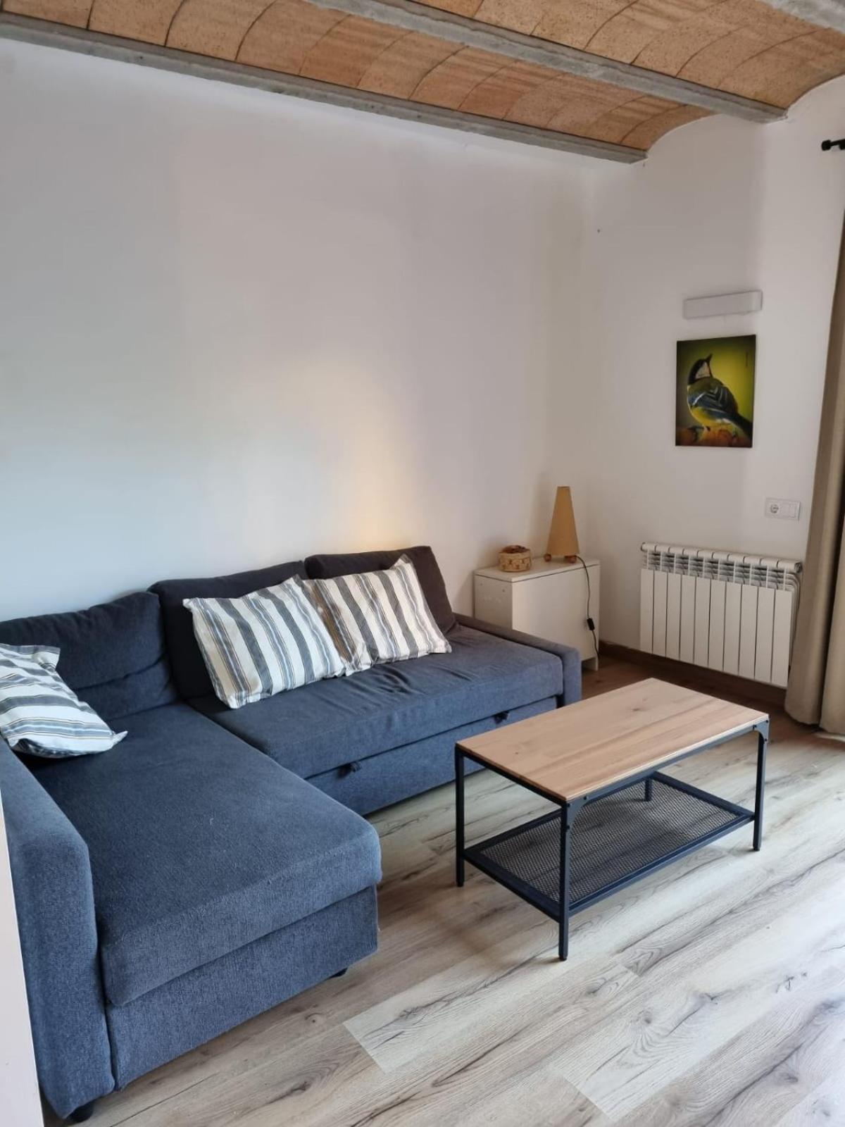 El Niu Dels Ocells Apartment Sant Joan de les Abadesses Bagian luar foto