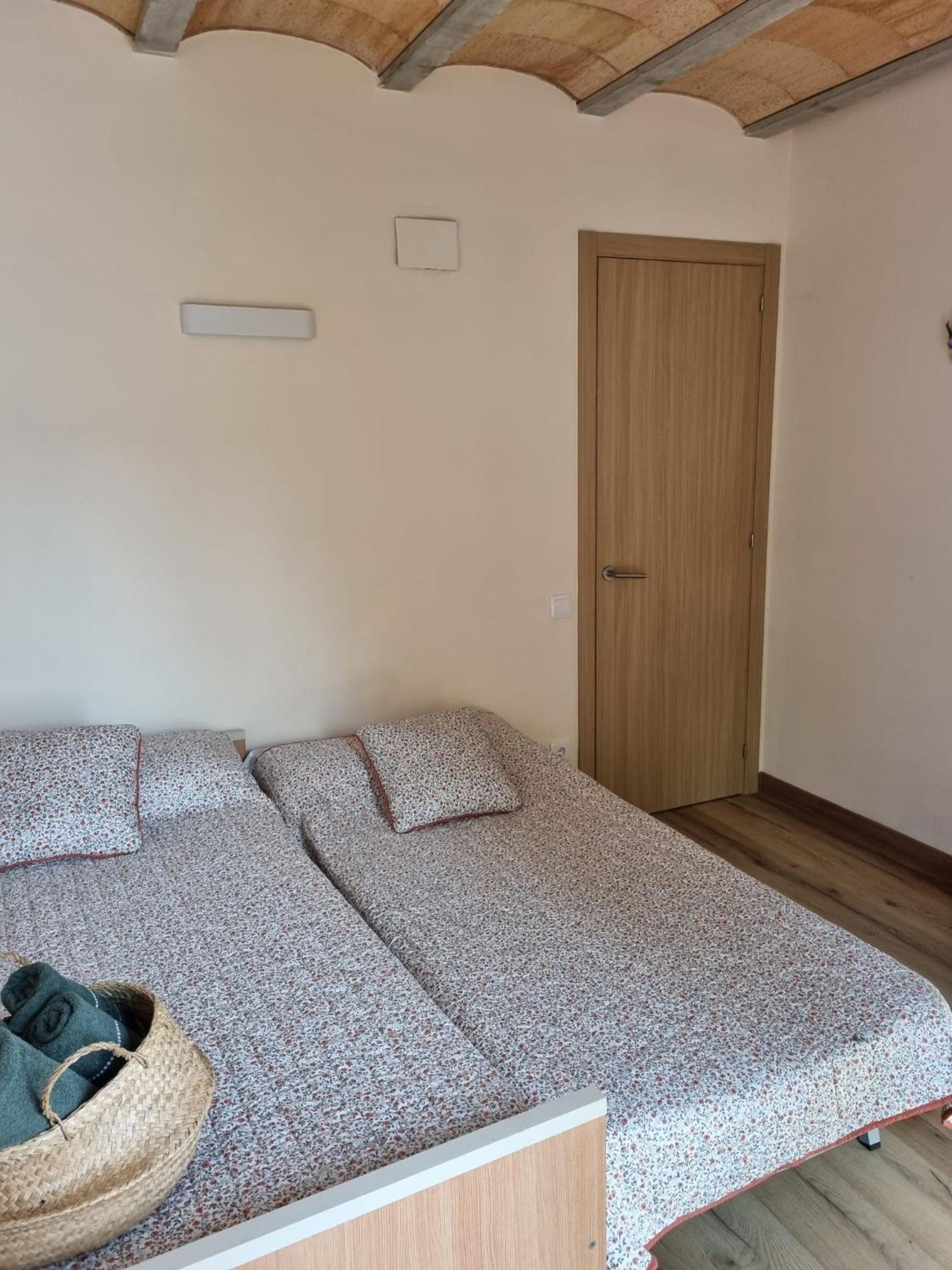 El Niu Dels Ocells Apartment Sant Joan de les Abadesses Bagian luar foto
